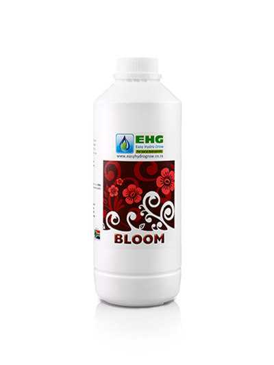 EHG Bloom